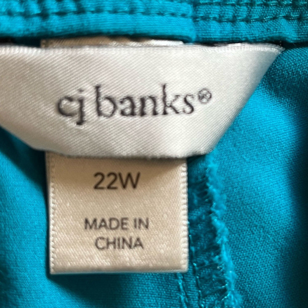 Dress Capris - Picture 6 of 6